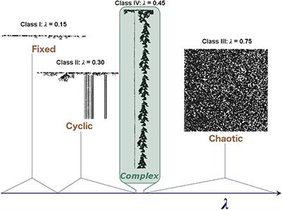 Criticality, Connectivity, and Neural Disorder: A Multifaceted Approach to Neural Computation